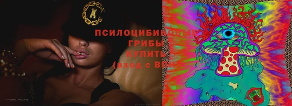ECSTASY Нязепетровск