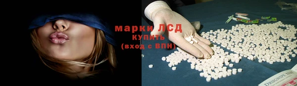 ECSTASY Новодвинск