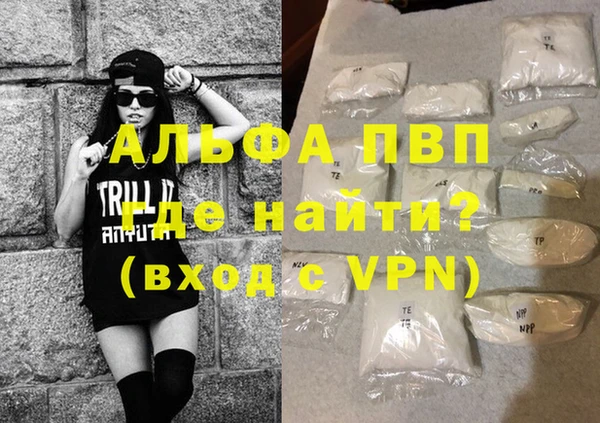 амф Гусев