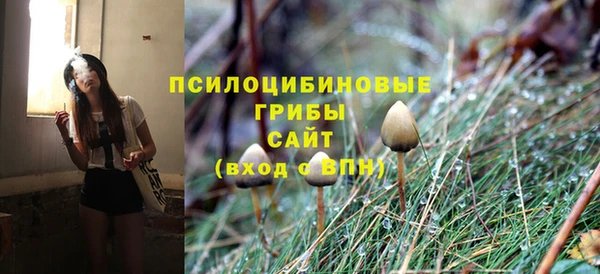 ECSTASY Нязепетровск