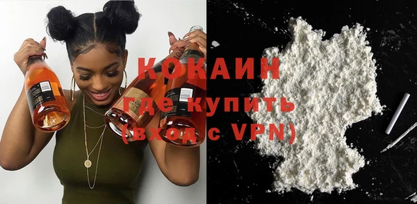 прущие грибы Гусиноозёрск
